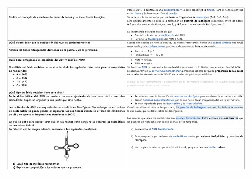 Haz un esquema de una molécula de ADN.
Haz un esquema de una molécula de ARN mensajero.
Cita los tipos de ARN existentes.
Puentes de hidróge