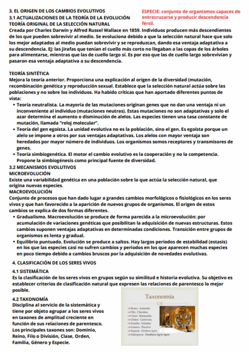 tema 6 - evolución y clasificación de los seres vivos
1. LOS GRANDES CAMBIOS EN LOS SERES VIVOS
En algunas épocas, una serie de sucesos han 
