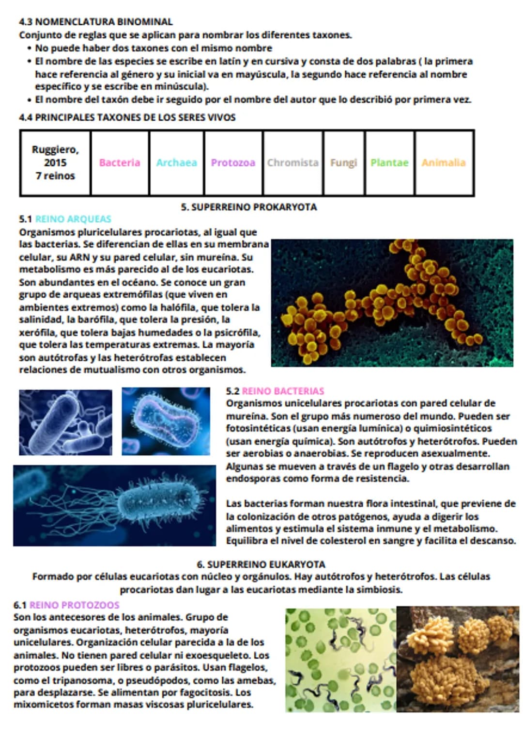 tema 6 - evolución y clasificación de los seres vivos
1. LOS GRANDES CAMBIOS EN LOS SERES VIVOS
En algunas épocas, una serie de sucesos han 
