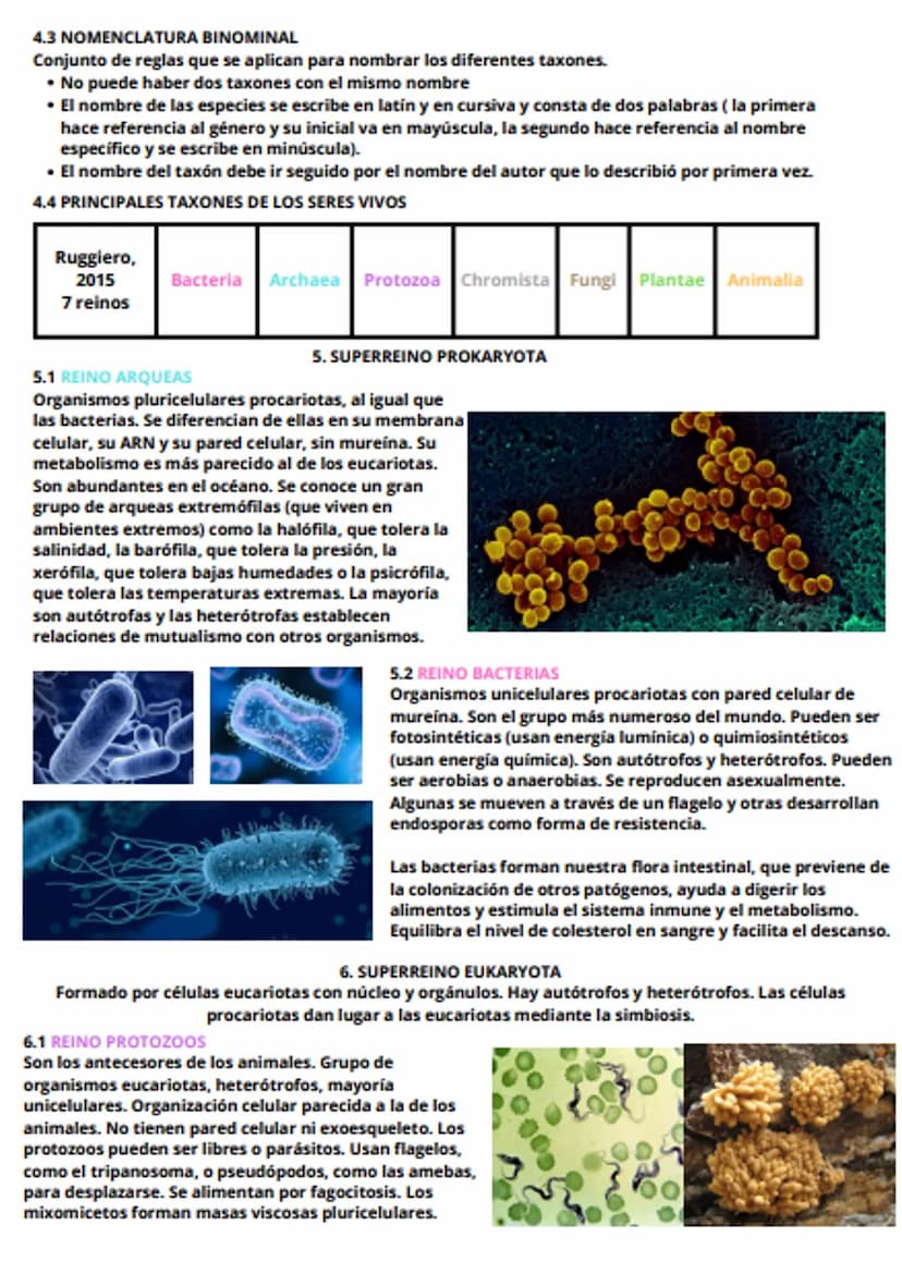tema 6 - evolución y clasificación de los seres vivos
1. LOS GRANDES CAMBIOS EN LOS SERES VIVOS
En algunas épocas, una serie de sucesos han 