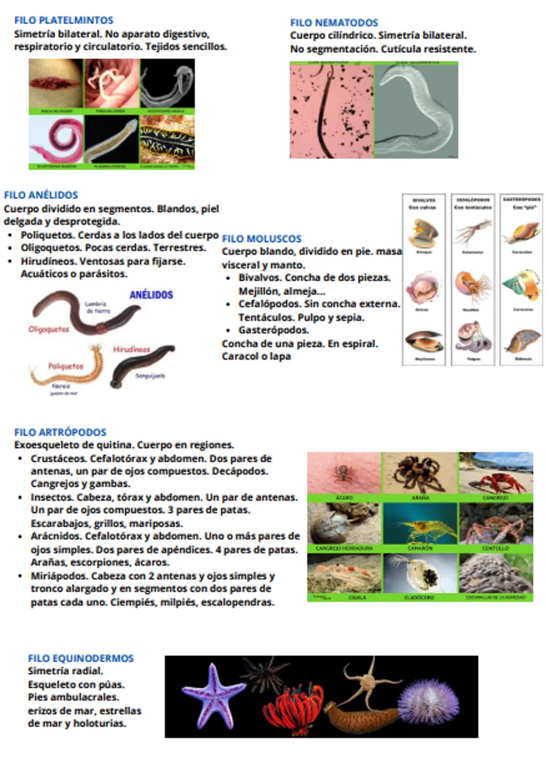 tema 6 - evolución y clasificación de los seres vivos
1. LOS GRANDES CAMBIOS EN LOS SERES VIVOS
En algunas épocas, una serie de sucesos han 