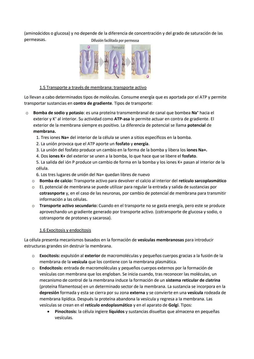 TEMA 7. La membrana plasmática, el citosol y los orgánulos no membranosos
1. Funciones de la membrana plasmática
La membrana plasmática es u