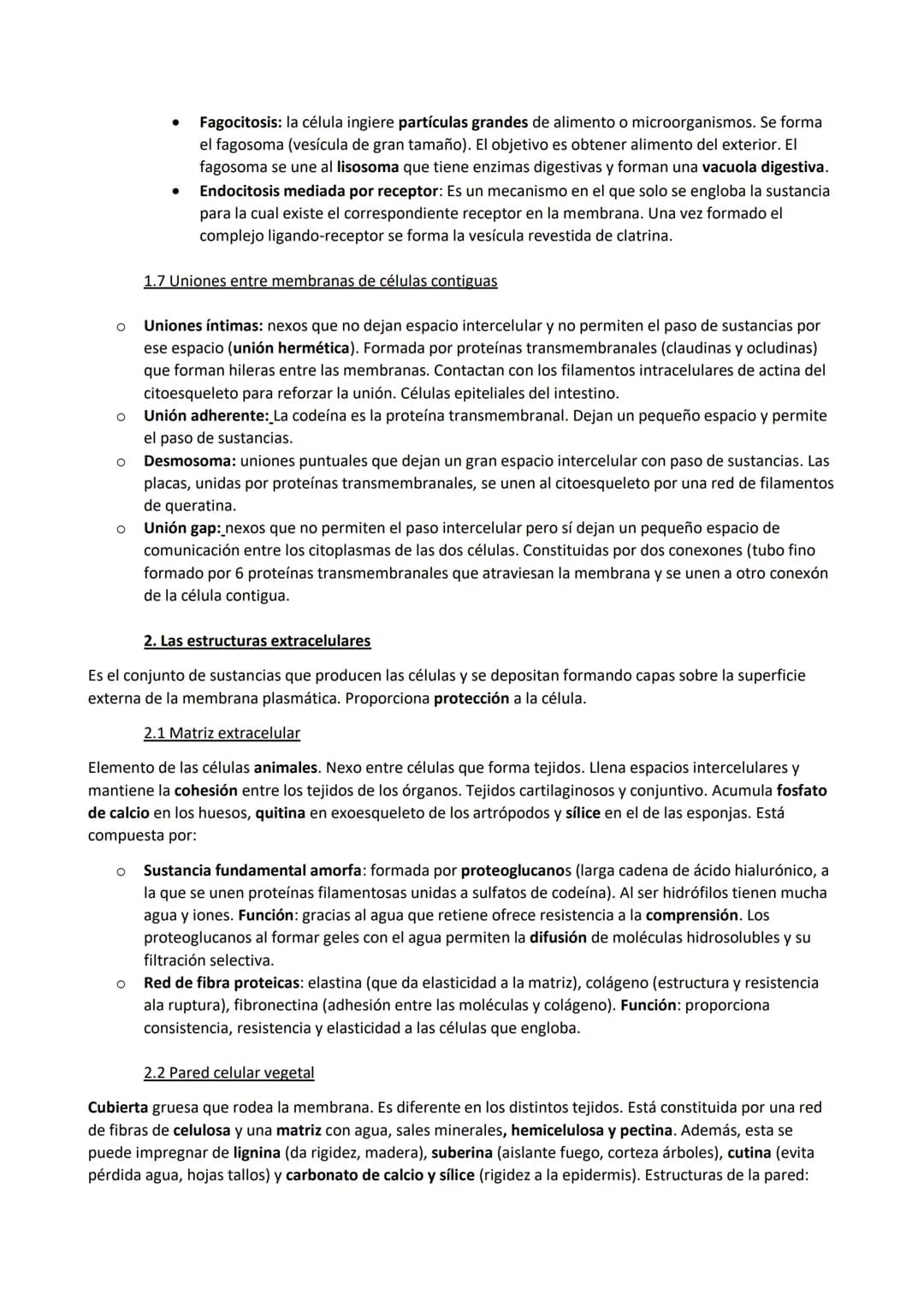 TEMA 7. La membrana plasmática, el citosol y los orgánulos no membranosos
1. Funciones de la membrana plasmática
La membrana plasmática es u
