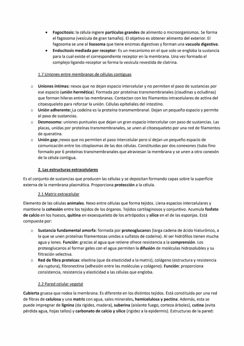 TEMA 7. La membrana plasmática, el citosol y los orgánulos no membranosos
1. Funciones de la membrana plasmática
La membrana plasmática es u