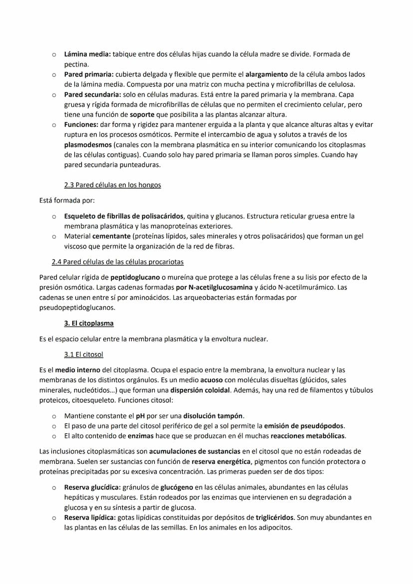 TEMA 7. La membrana plasmática, el citosol y los orgánulos no membranosos
1. Funciones de la membrana plasmática
La membrana plasmática es u