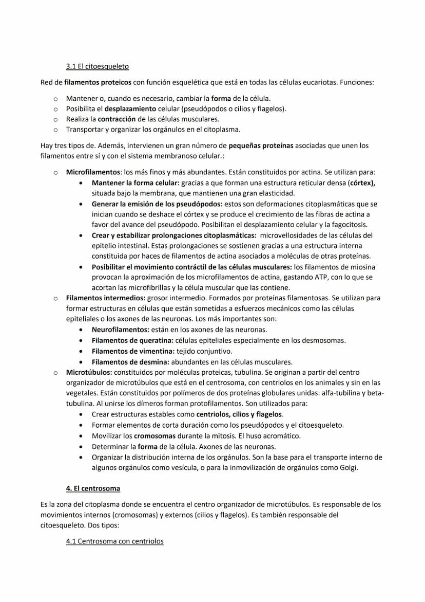 TEMA 7. La membrana plasmática, el citosol y los orgánulos no membranosos
1. Funciones de la membrana plasmática
La membrana plasmática es u