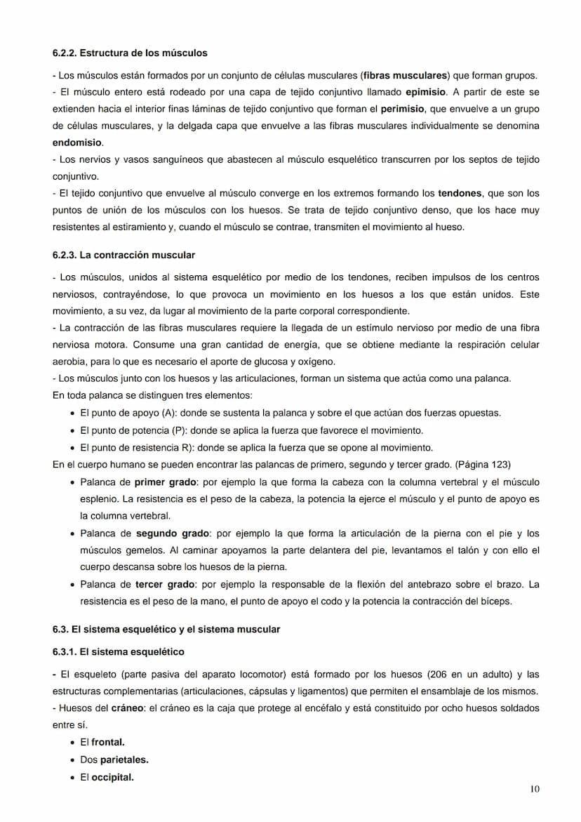 Índice:
1. La percepción de los estímulos. Los receptores sensoriales
2.
El ojo
El oído
3.
4.
La piel
5. El gusto y el olfato
6. Los efector