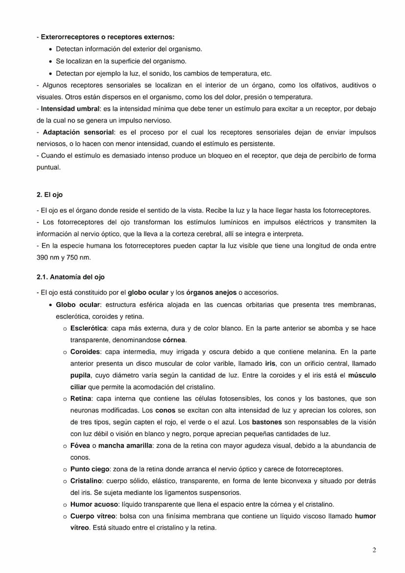 Índice:
1. La percepción de los estímulos. Los receptores sensoriales
2.
El ojo
El oído
3.
4.
La piel
5. El gusto y el olfato
6. Los efector