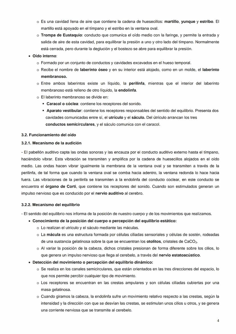 Índice:
1. La percepción de los estímulos. Los receptores sensoriales
2.
El ojo
El oído
3.
4.
La piel
5. El gusto y el olfato
6. Los efector