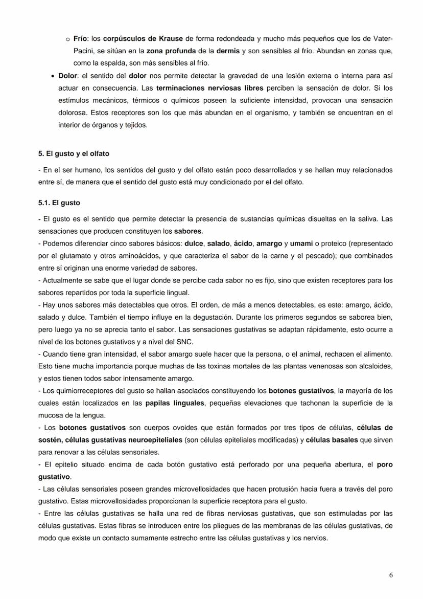 Índice:
1. La percepción de los estímulos. Los receptores sensoriales
2.
El ojo
El oído
3.
4.
La piel
5. El gusto y el olfato
6. Los efector