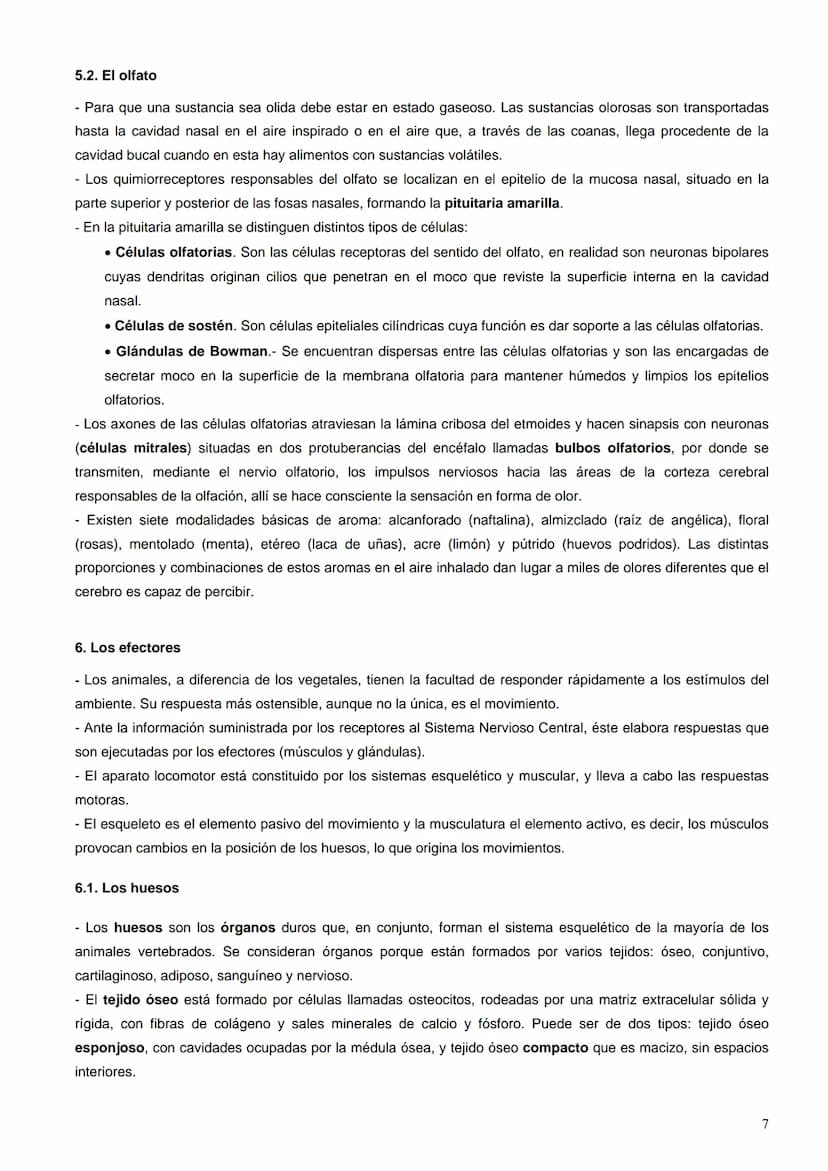 Índice:
1. La percepción de los estímulos. Los receptores sensoriales
2.
El ojo
El oído
3.
4.
La piel
5. El gusto y el olfato
6. Los efector