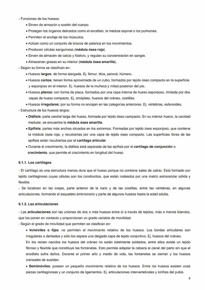 Índice:
1. La percepción de los estímulos. Los receptores sensoriales
2.
El ojo
El oído
3.
4.
La piel
5. El gusto y el olfato
6. Los efector