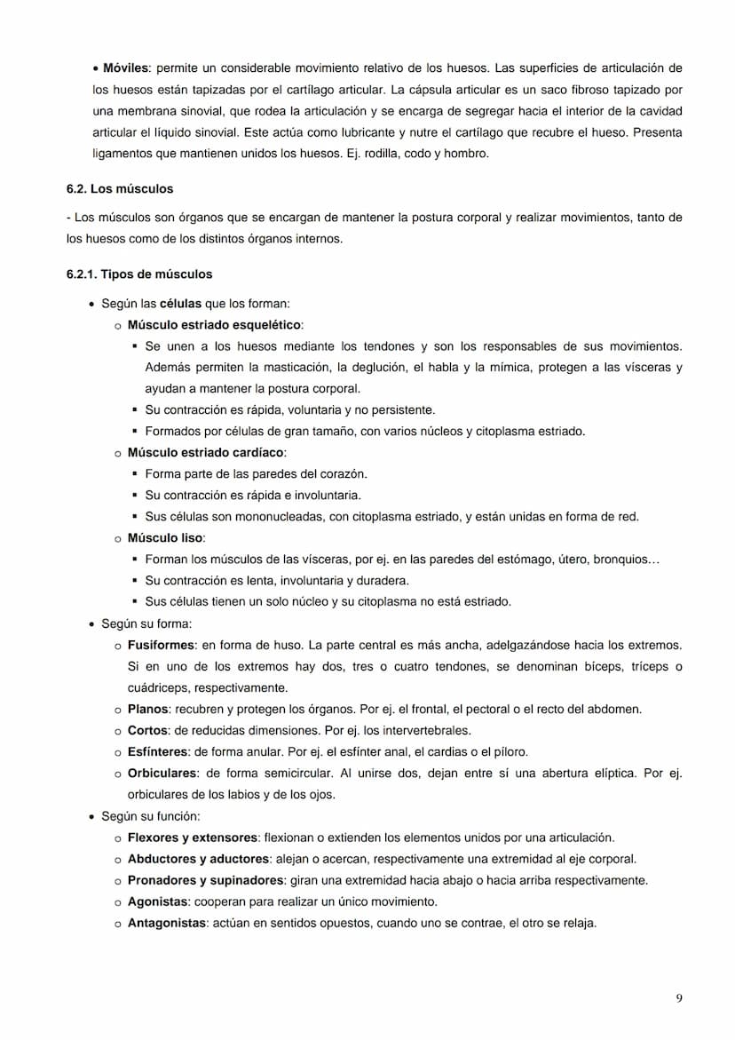 Índice:
1. La percepción de los estímulos. Los receptores sensoriales
2.
El ojo
El oído
3.
4.
La piel
5. El gusto y el olfato
6. Los efector
