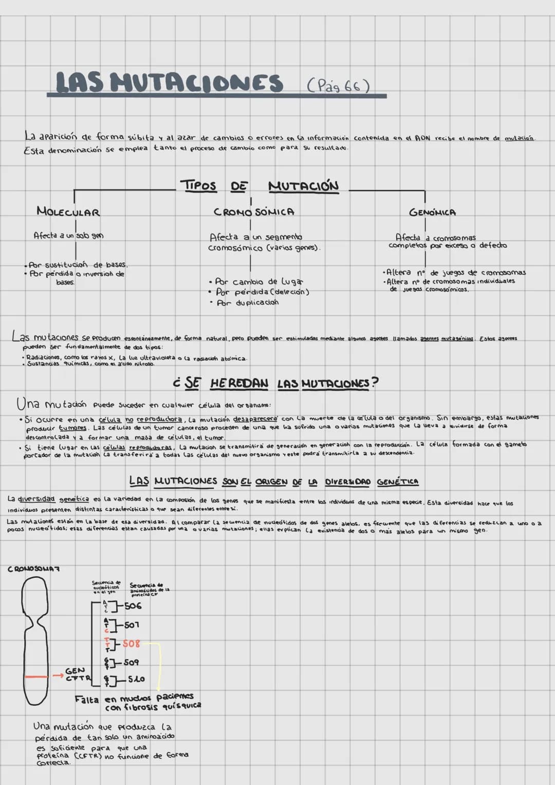 LAS LEVES DE
LA HERENCIA
REPLICACIÓN DEL ADN (Pag. 65)
O Molde
SEMICONSERVATIVA
G1
A
O
INTERFASE
+
G
A
G
T
Ç
T
6
A
SINTESIS
G
DUPLICAR EL
T
