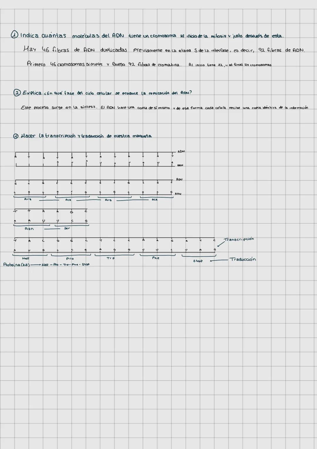 LAS LEVES DE
LA HERENCIA
REPLICACIÓN DEL ADN (Pag. 65)
O Molde
SEMICONSERVATIVA
G1
A
O
INTERFASE
+
G
A
G
T
Ç
T
6
A
SINTESIS
G
DUPLICAR EL
T
