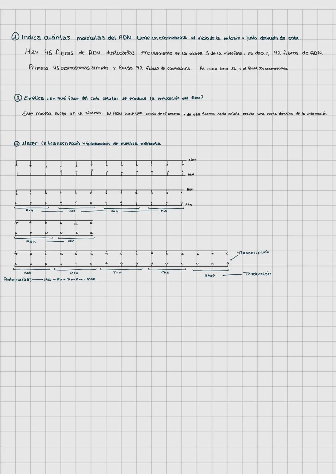 LAS LEVES DE
LA HERENCIA
REPLICACIÓN DEL ADN (Pag. 65)
O Molde
SEMICONSERVATIVA
G1
A
O
INTERFASE
+
G
A
G
T
Ç
T
6
A
SINTESIS
G
DUPLICAR EL
T
