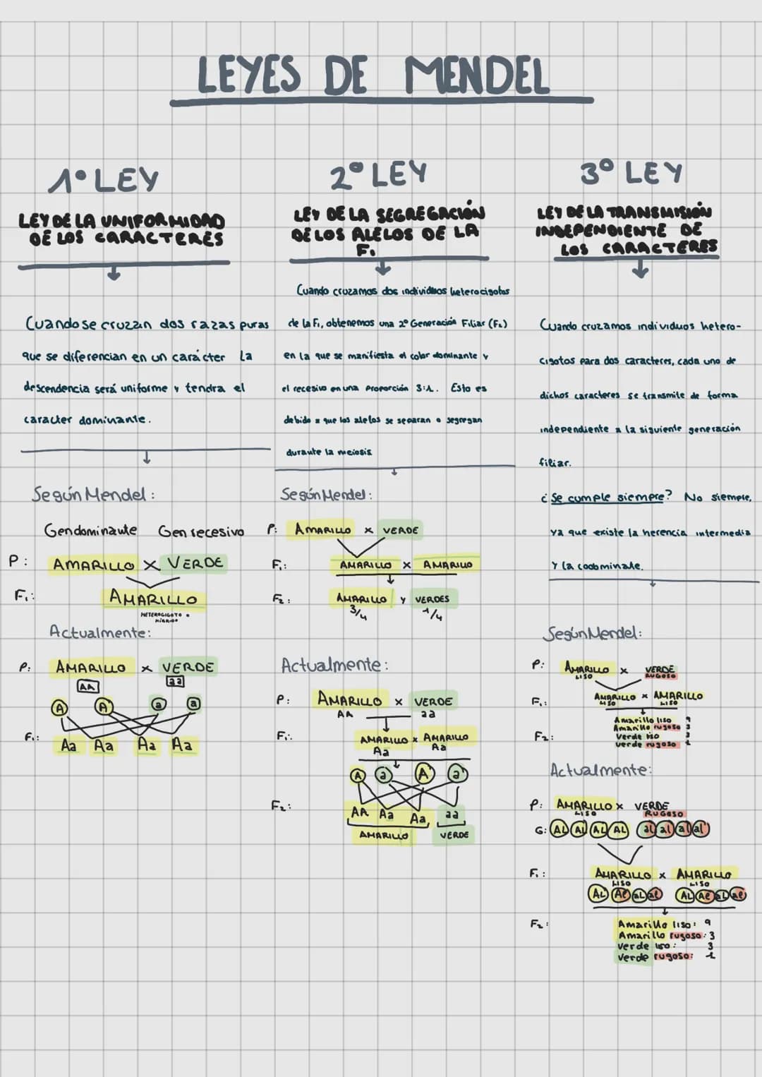 LAS LEVES DE
LA HERENCIA
REPLICACIÓN DEL ADN (Pag. 65)
O Molde
SEMICONSERVATIVA
G1
A
O
INTERFASE
+
G
A
G
T
Ç
T
6
A
SINTESIS
G
DUPLICAR EL
T
