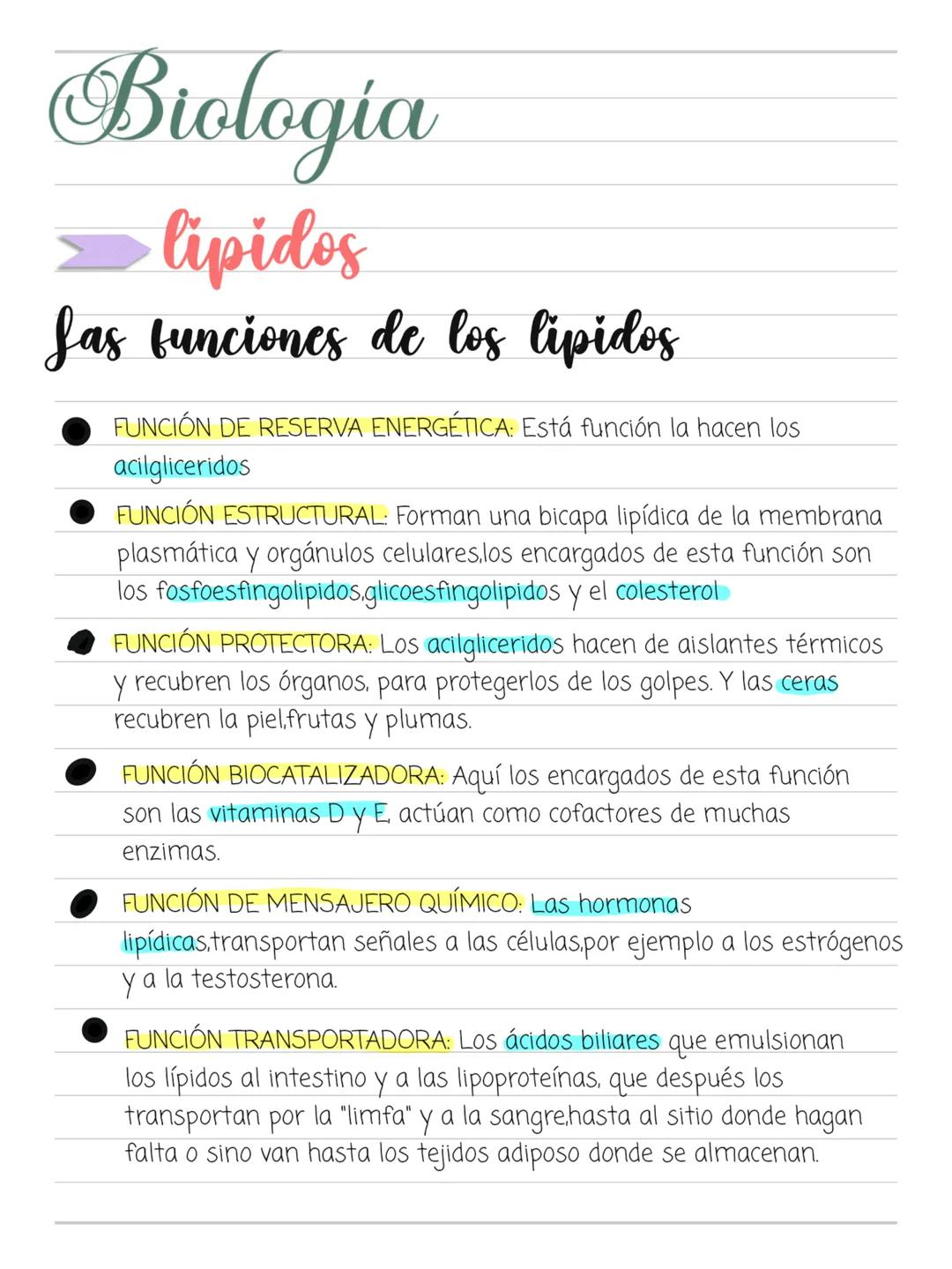 In a world you know
nothing, there will be surprises if
you go on Biologia
Glúcidos
=
Son biomoléculas formadas básicamente por CARBONO, HID