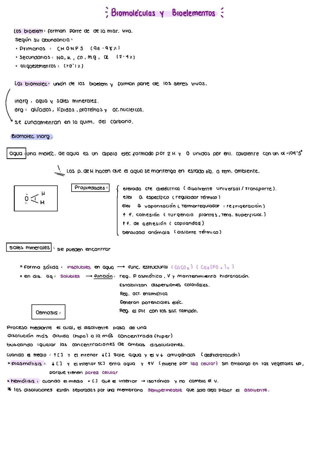 biomoléculas y bioelementos