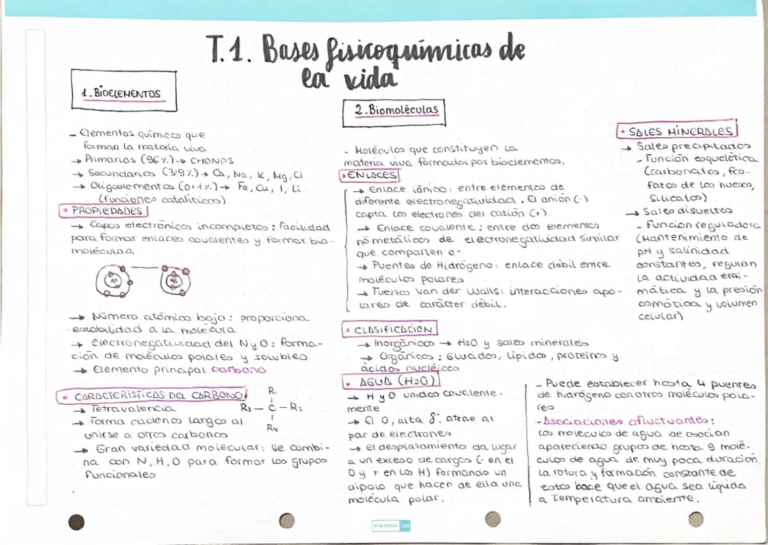 ## T.1. Bases fisicoquímicas de
## la vida

### 4. Bioelementos
- Elementos químicos que
forman la materia viva
→Primarios (96%) CHONPS
→Sec