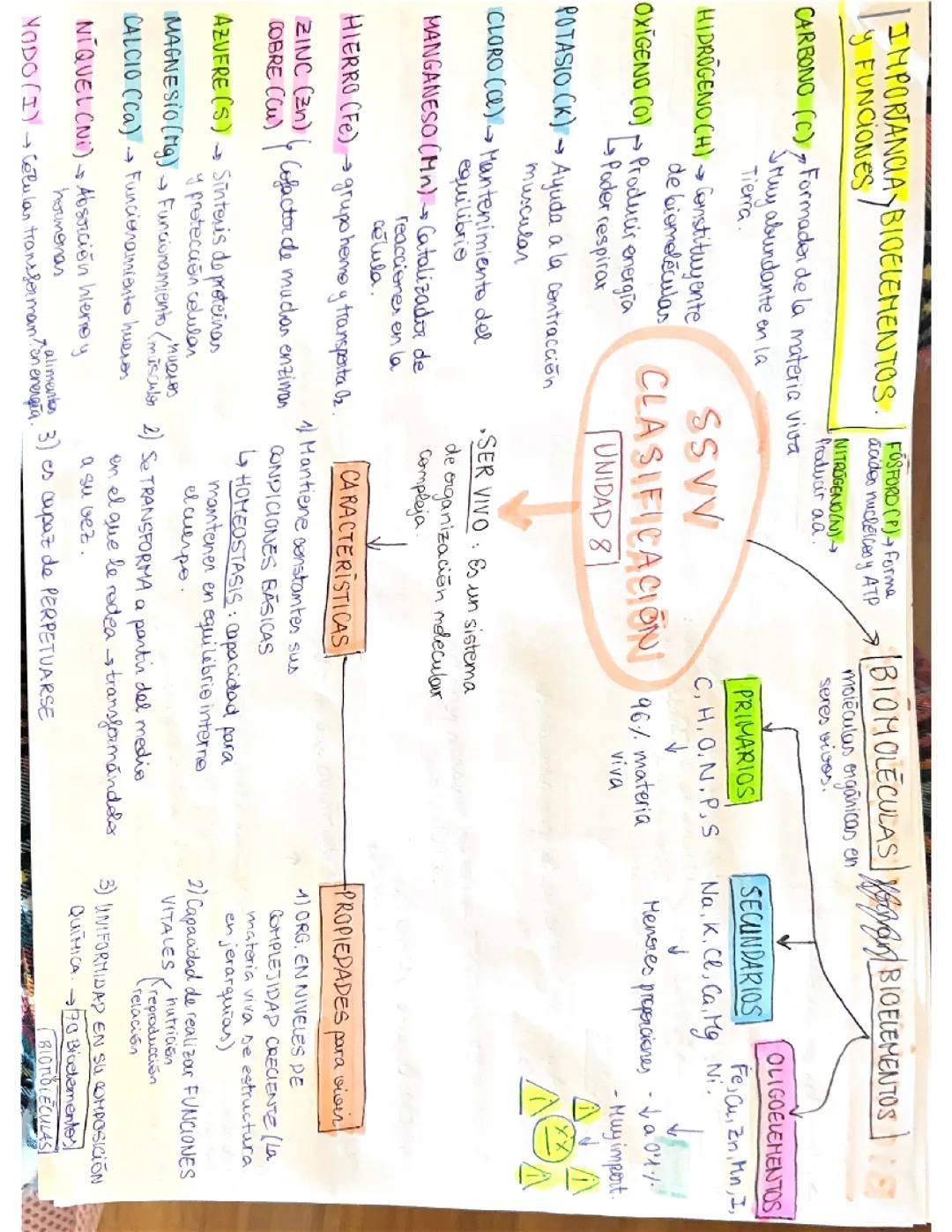 Biomoléculas Orgánicas e Inorgánicas y su Importancia