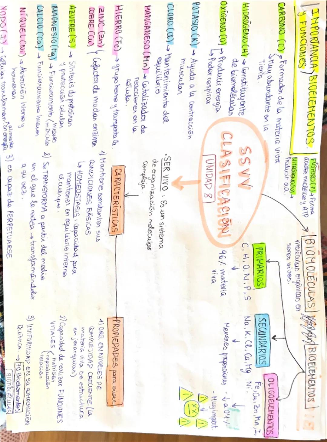 |
FOSFORD (P) → Forma
IMPORTANCIA BIOELEMENTOS. acidos nucleices y ATP
y FUNCIONES
NITROGENO (N)→
froducir aa.
CARBONO (C)Formador de la mat