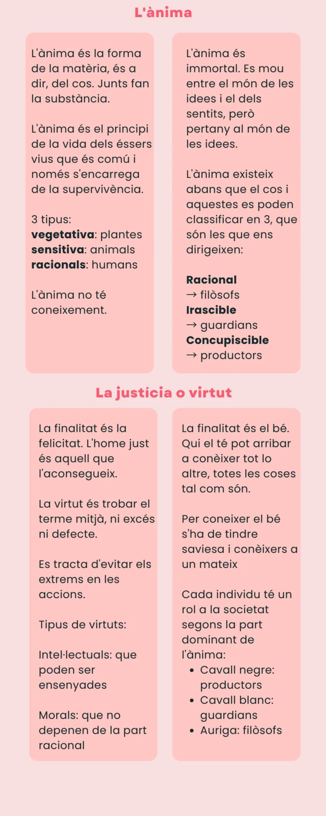 Comparació entre Aristòtil i Plató: Filosofia detinguda (Part 2)