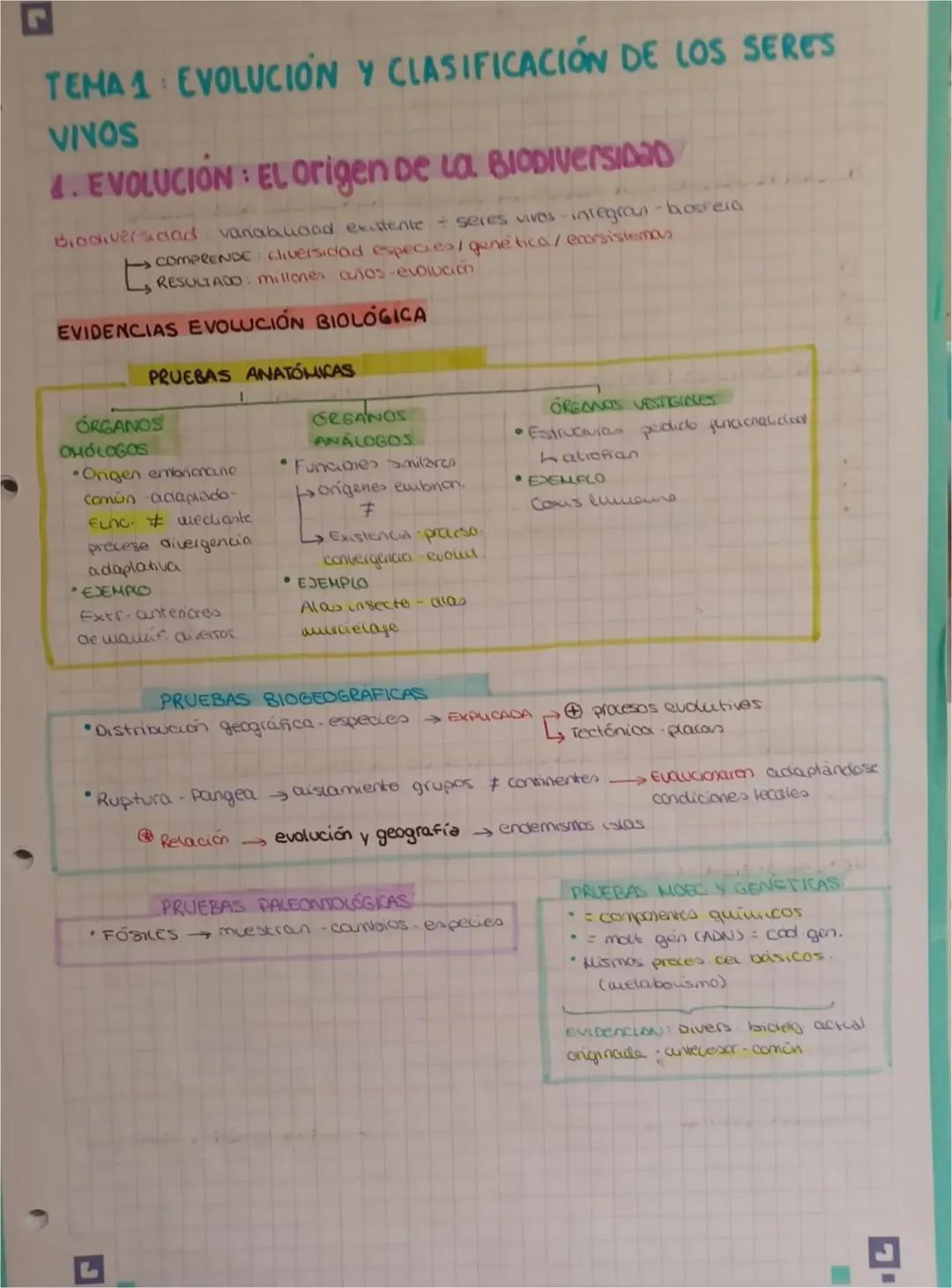TEMA 1: Evolución y clasificación de los seres vivos