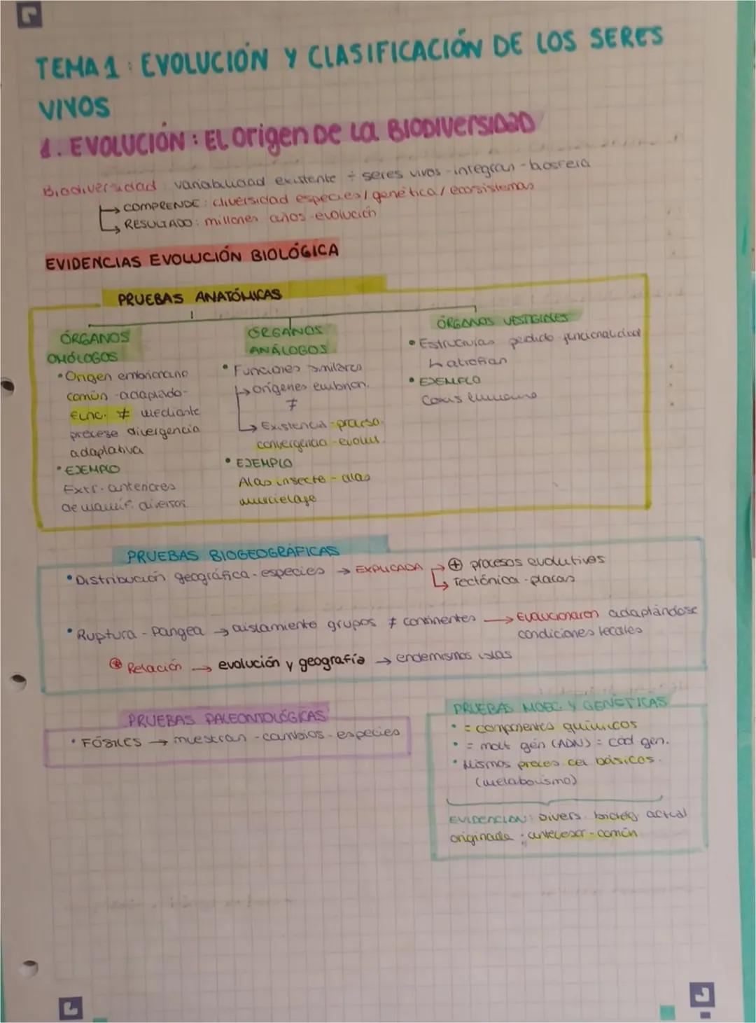 2
TEMA 1 EVOLUCIÓN Y CLASIFICACIÓN DE LOS SERES
VINOS
4. EVOLUCIÓN EL Origen De La BIODIVERSIDAD
Biodiversidad vanabuoad exutente seres vivo