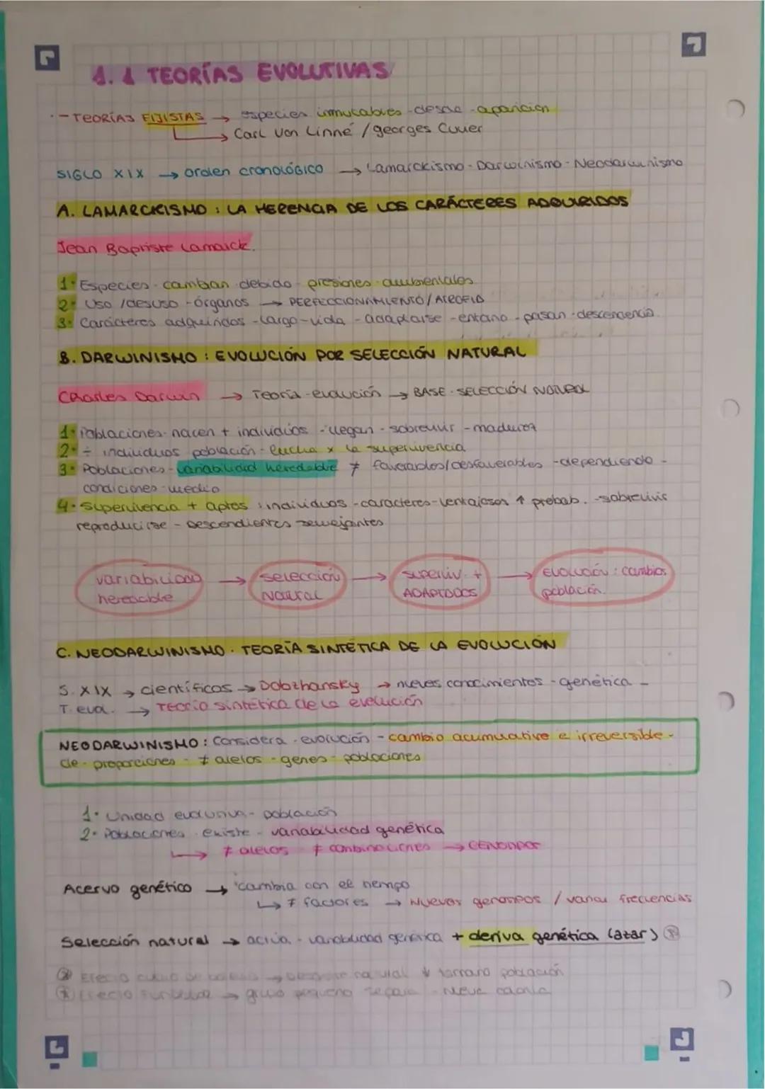 2
TEMA 1 EVOLUCIÓN Y CLASIFICACIÓN DE LOS SERES
VINOS
4. EVOLUCIÓN EL Origen De La BIODIVERSIDAD
Biodiversidad vanabuoad exutente seres vivo