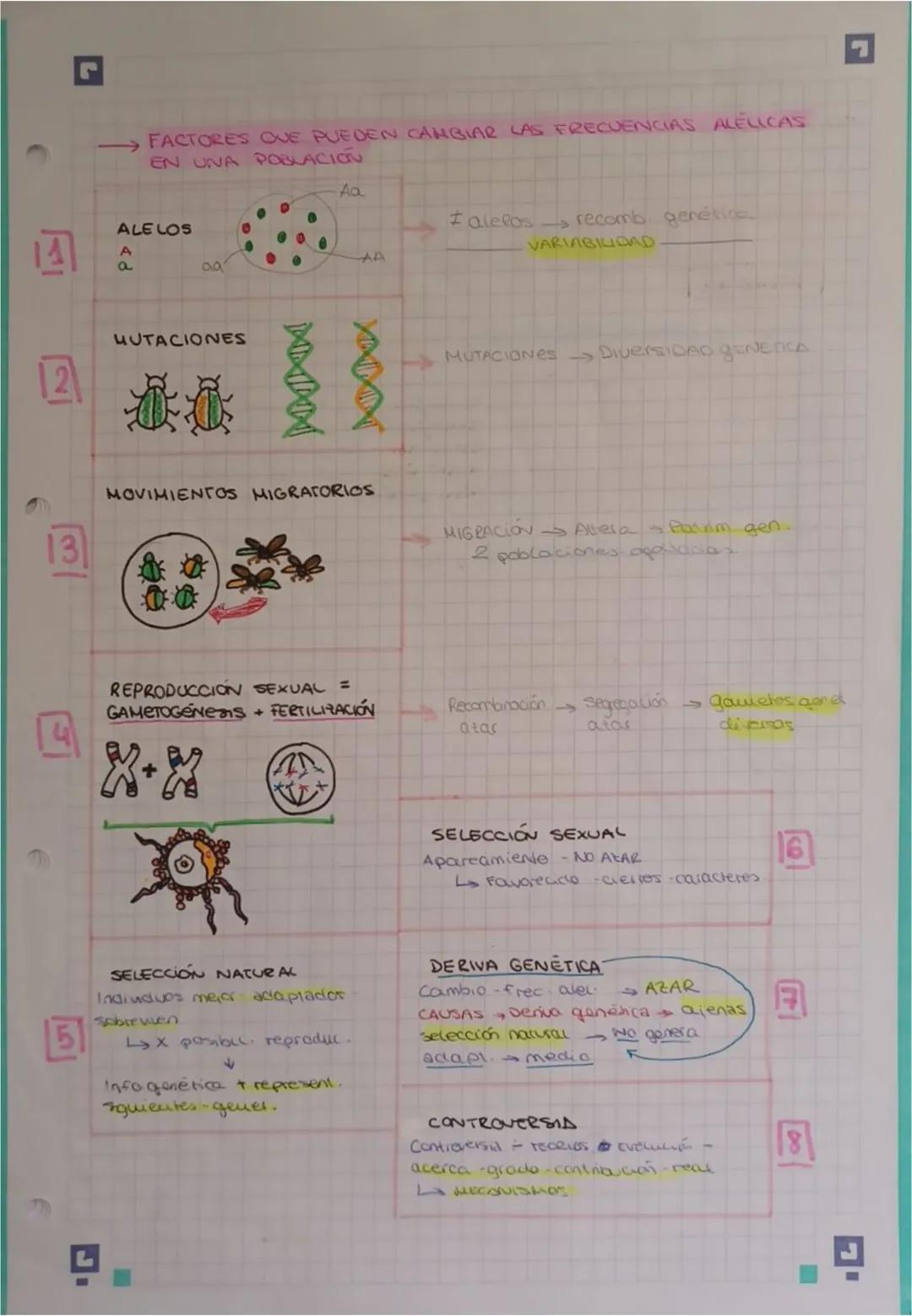 2
TEMA 1 EVOLUCIÓN Y CLASIFICACIÓN DE LOS SERES
VINOS
4. EVOLUCIÓN EL Origen De La BIODIVERSIDAD
Biodiversidad vanabuoad exutente seres vivo