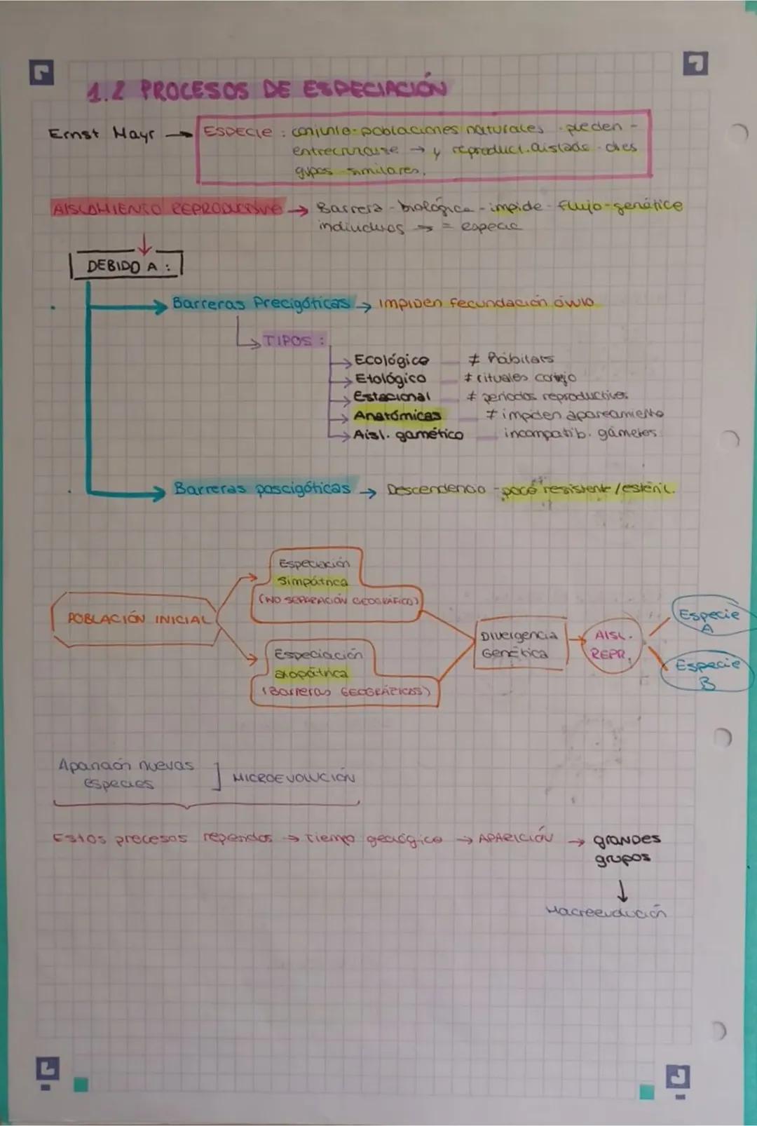 2
TEMA 1 EVOLUCIÓN Y CLASIFICACIÓN DE LOS SERES
VINOS
4. EVOLUCIÓN EL Origen De La BIODIVERSIDAD
Biodiversidad vanabuoad exutente seres vivo