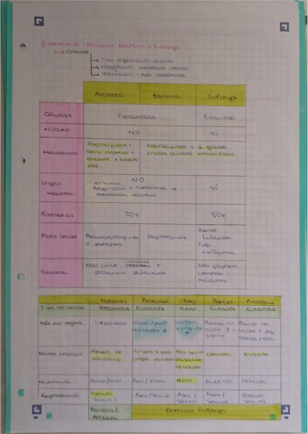 2
TEMA 1 EVOLUCIÓN Y CLASIFICACIÓN DE LOS SERES
VINOS
4. EVOLUCIÓN EL Origen De La BIODIVERSIDAD
Biodiversidad vanabuoad exutente seres vivo