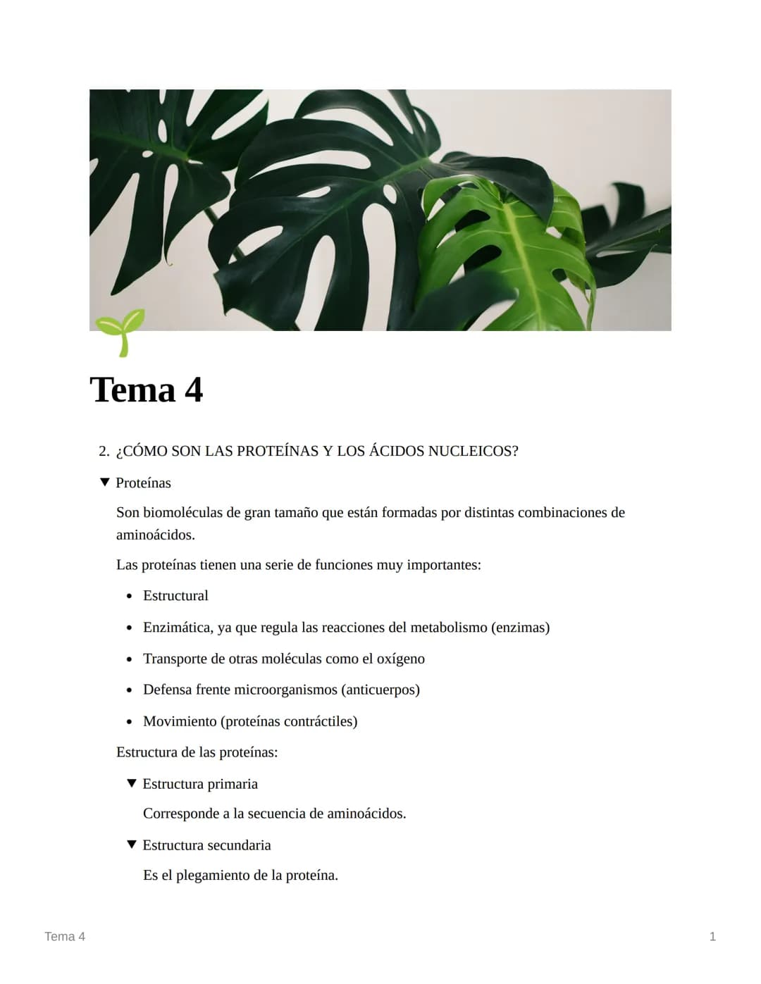 Tema 4
Tema 4
2. ¿CÓMO SON LAS PROTEÍNAS Y LOS ÁCIDOS NUCLEICOS?
▼ Proteínas
Son biomoléculas de gran tamaño que están formadas por distinta