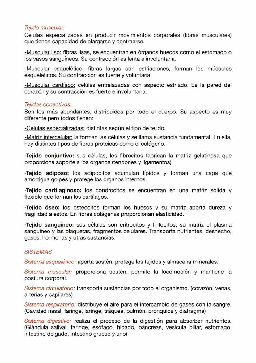 EXAMEN ANATOMÍA APLICADA 1
NIVELES DE ORGANIZACIÓN
•Nivel químico: El 99% de los átomos son C, H, O y N. Estos se unen a otros
formando molé