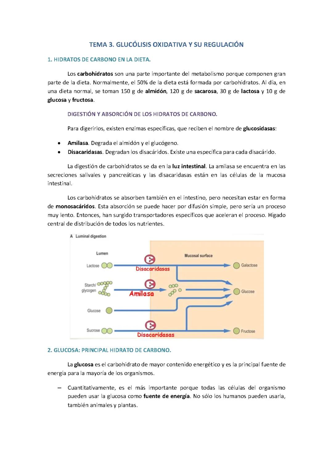 Glucolisis y estrés oxidativo