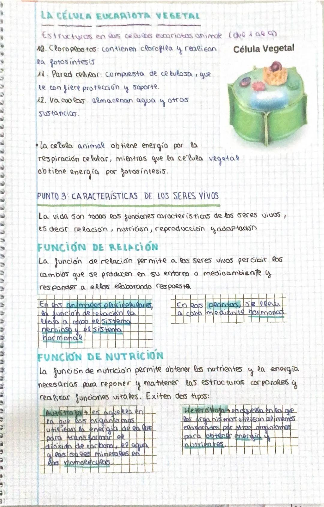 TRIMESTRE
BIOLOGÍA
TEMA 1: SERES VIVOS
PUNTO 1: TEORÍA CELULAR
•Todas las seres humanos estan formados por cé eveas
•Todas las células proce