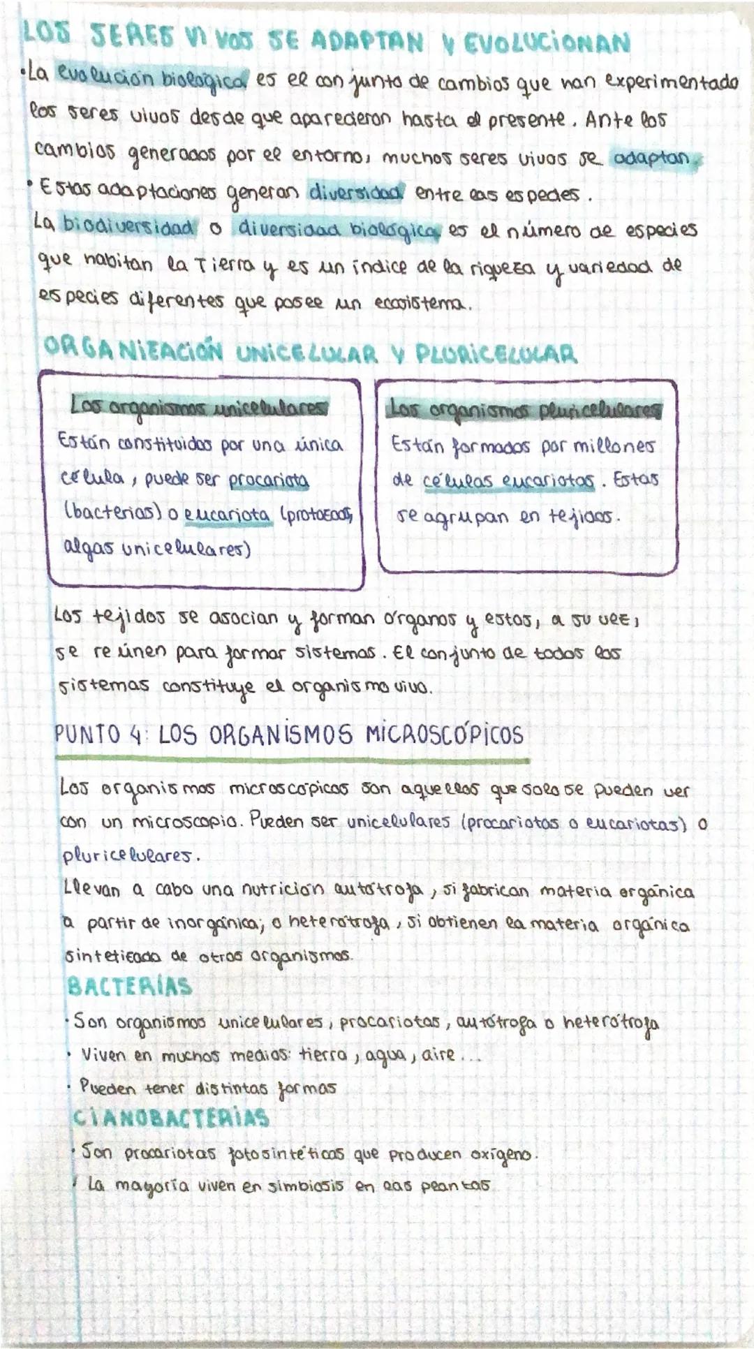 TRIMESTRE
BIOLOGÍA
TEMA 1: SERES VIVOS
PUNTO 1: TEORÍA CELULAR
•Todas las seres humanos estan formados por cé eveas
•Todas las células proce