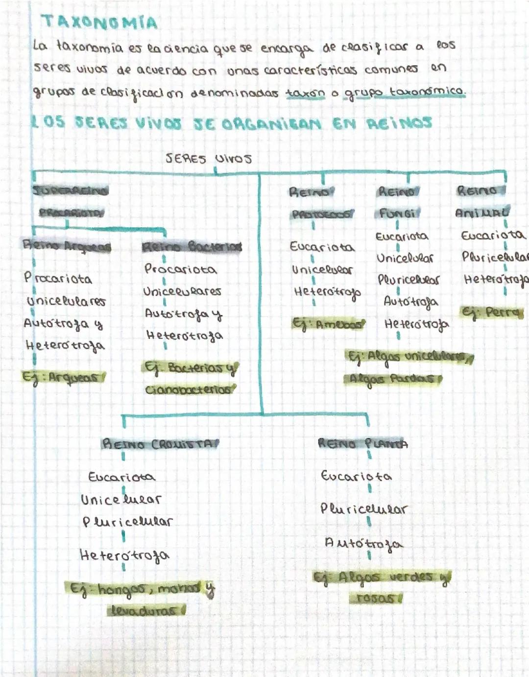 TRIMESTRE
BIOLOGÍA
TEMA 1: SERES VIVOS
PUNTO 1: TEORÍA CELULAR
•Todas las seres humanos estan formados por cé eveas
•Todas las células proce
