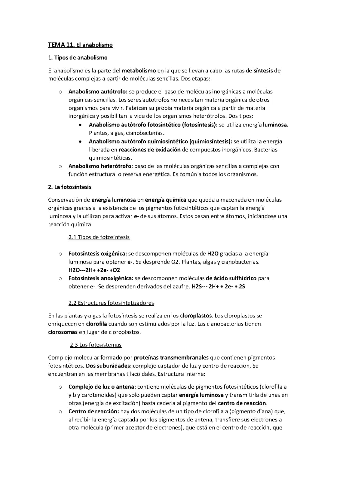 El anabolismo
