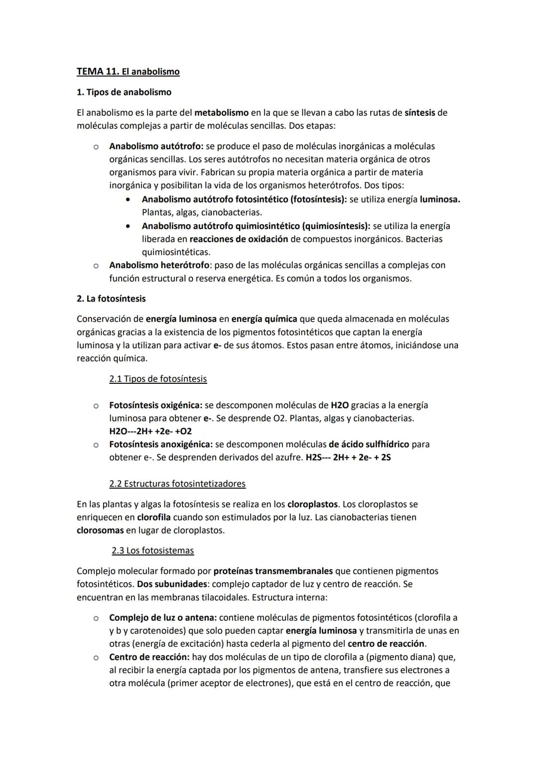 TEMA 11. El anabolismo
1. Tipos de anabolismo
El anabolismo es la parte del metabolismo en la que se llevan a cabo las rutas de síntesis de
