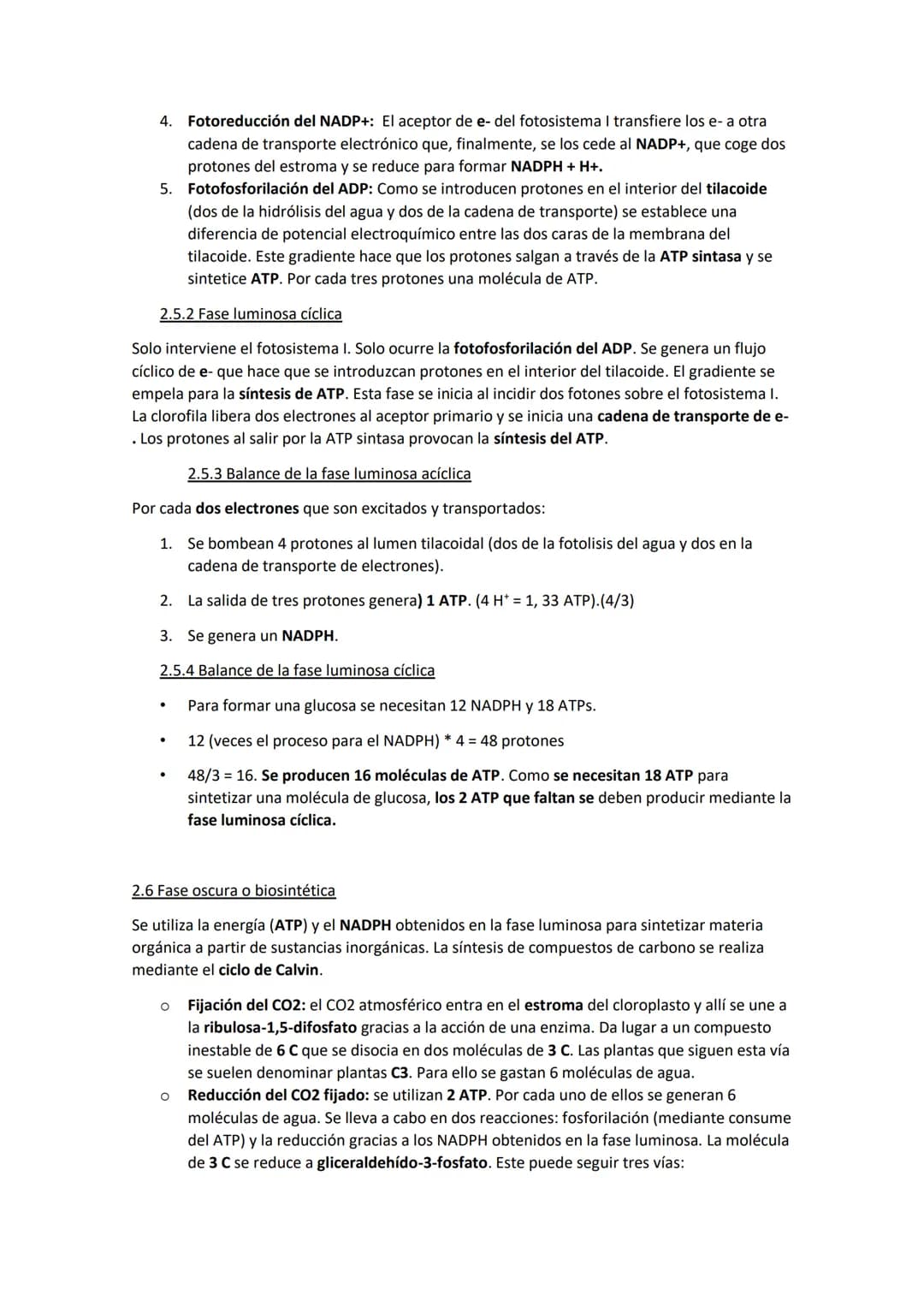 TEMA 11. El anabolismo
1. Tipos de anabolismo
El anabolismo es la parte del metabolismo en la que se llevan a cabo las rutas de síntesis de
