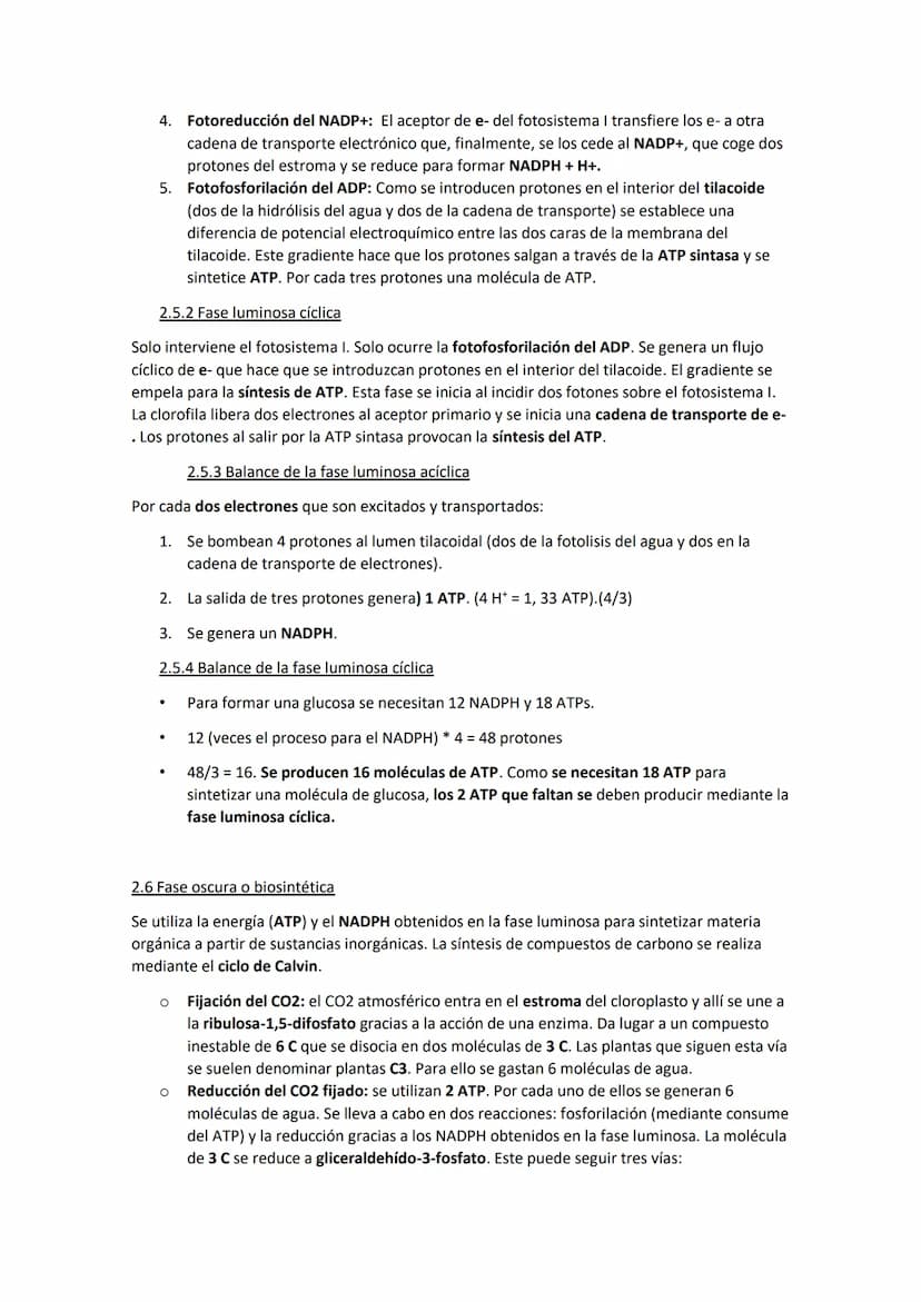 TEMA 11. El anabolismo
1. Tipos de anabolismo
El anabolismo es la parte del metabolismo en la que se llevan a cabo las rutas de síntesis de
