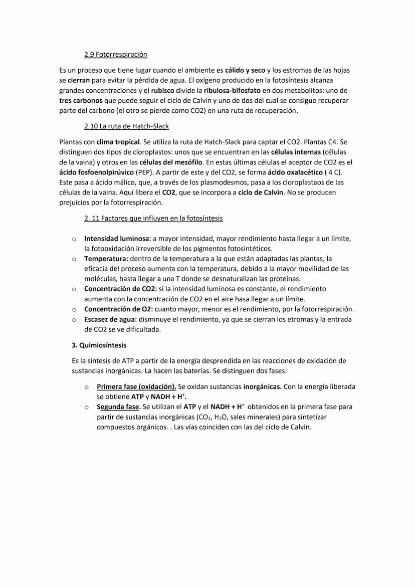 TEMA 11. El anabolismo
1. Tipos de anabolismo
El anabolismo es la parte del metabolismo en la que se llevan a cabo las rutas de síntesis de
