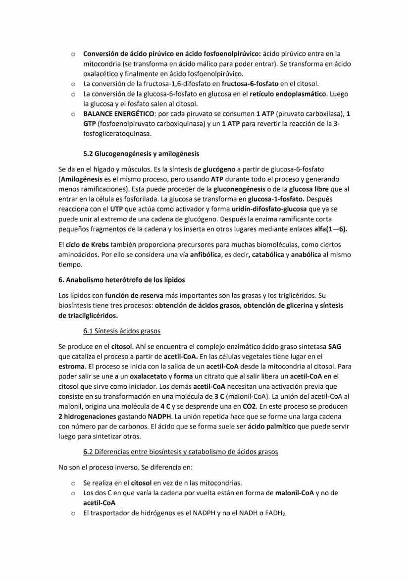 TEMA 11. El anabolismo
1. Tipos de anabolismo
El anabolismo es la parte del metabolismo en la que se llevan a cabo las rutas de síntesis de
