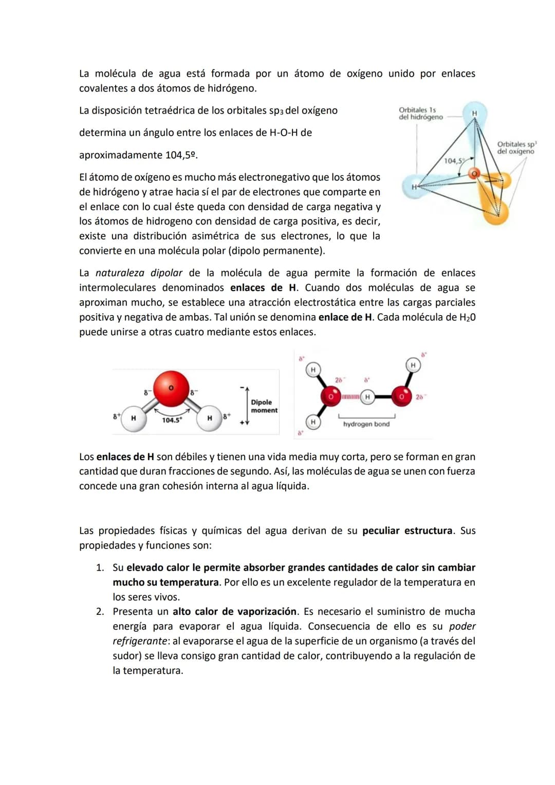 Unidad 1. La organización de los seres vivos.
1.La vida y sus niveles de organización
La materia organiza progresivamente desde niveles muy 