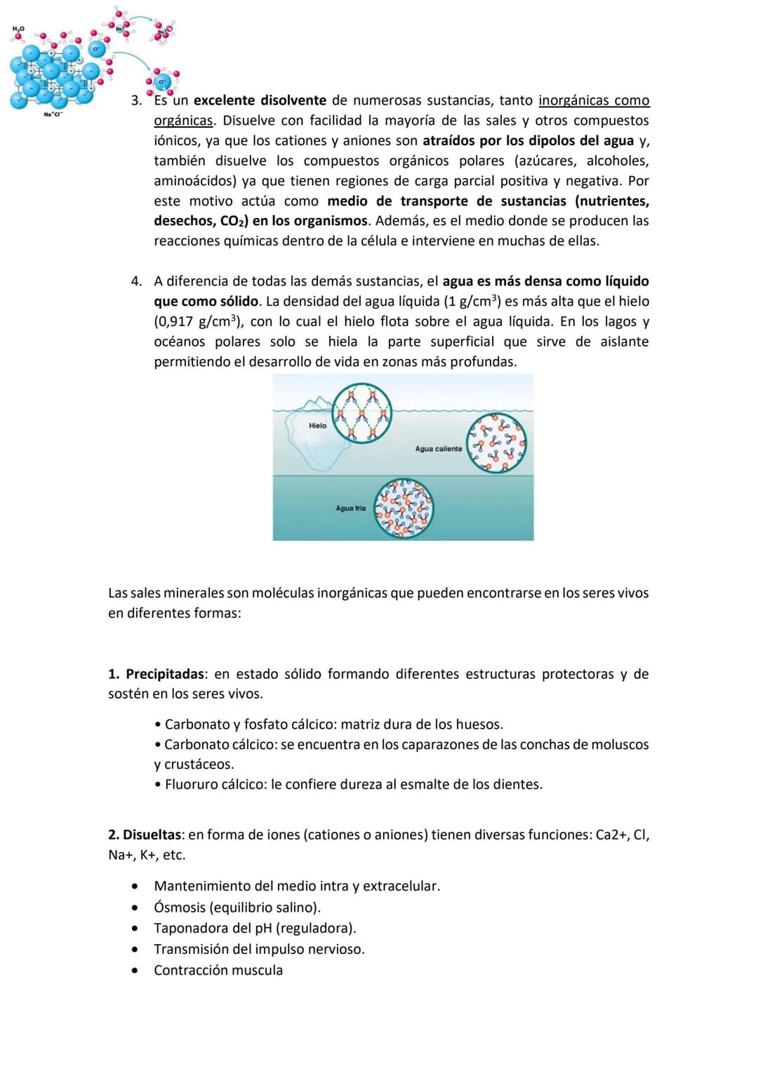 Unidad 1. La organización de los seres vivos.
1.La vida y sus niveles de organización
La materia organiza progresivamente desde niveles muy 