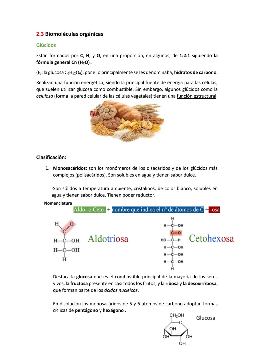 Unidad 1. La organización de los seres vivos.
1.La vida y sus niveles de organización
La materia organiza progresivamente desde niveles muy 