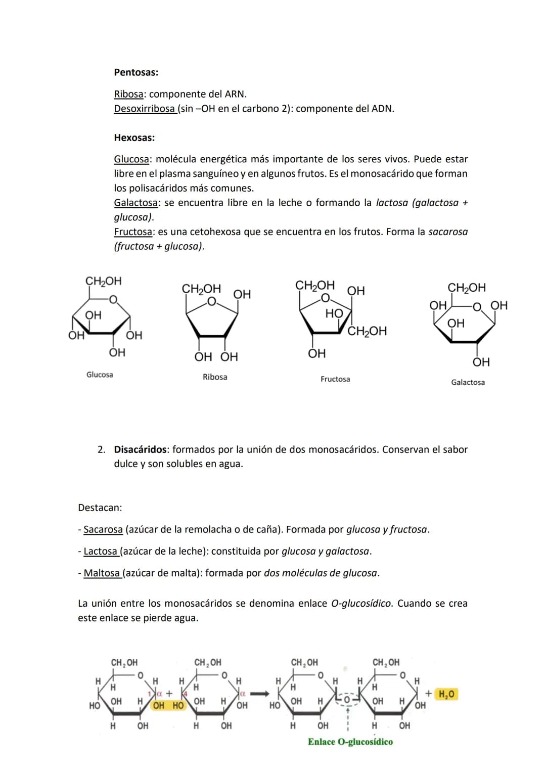 Unidad 1. La organización de los seres vivos.
1.La vida y sus niveles de organización
La materia organiza progresivamente desde niveles muy 