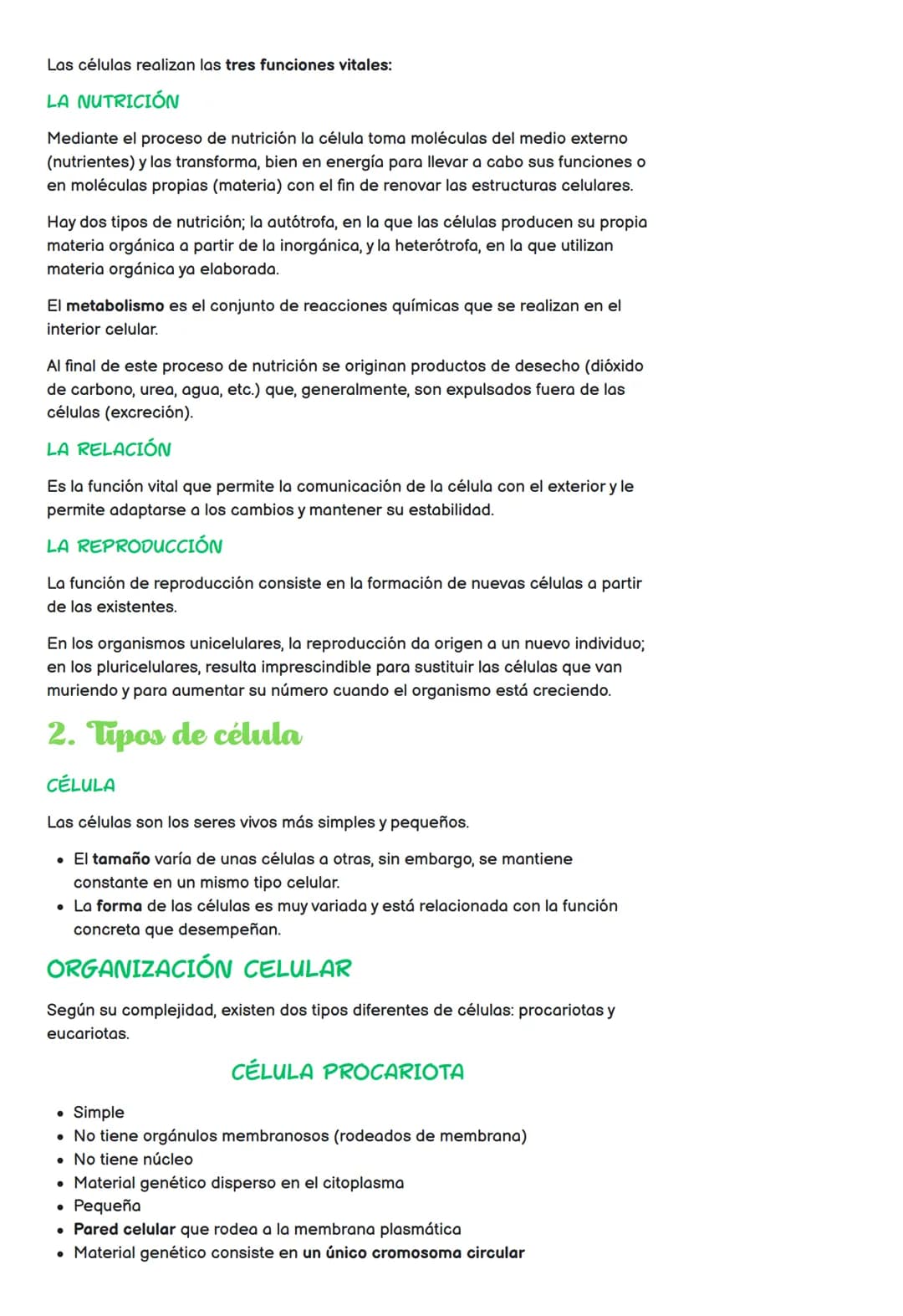 Todo sobre la Célula: Partes, Tipos y Funciones